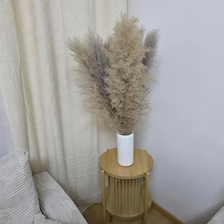 Apartament Alpenherz *