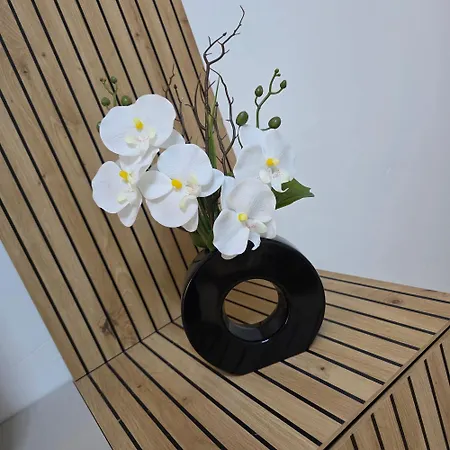 Alpenherz Apartament *