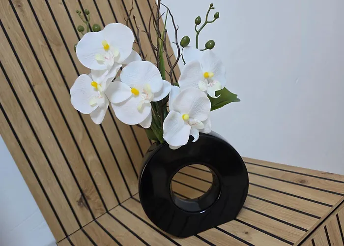 Alpenherz Apartament *